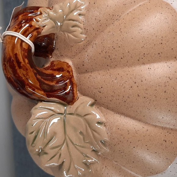 Ceramic Pumpkin Figure Tabletop Decor Fall Harvest Half Glazed White Natural - Picture 5 of 6